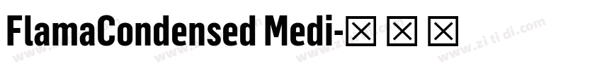 FlamaCondensed Medi字体转换